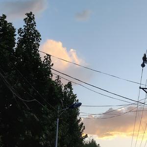 freeHD28❌❌❌网站
